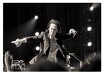 Roberto Cavalli - Nick Cave, Straight to you  #514