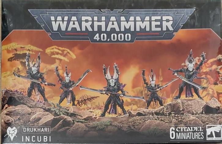 Drukhari Incubi (Warhammer Nieuw), Hobby en Vrije tijd, Wargaming, Ophalen of Verzenden