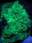 Geweldig monster van hyaliet Fluorescerende - 6×5×3 cm - 113
