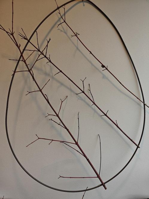 Takken naturel bv cornus +/- 3st  voor bloemschikken en, Hobby en Vrije tijd, Knutselen, Nieuw