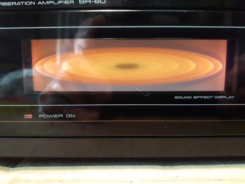 Pioneer - SR-60 Black Edition - Reverberation Amplifier -, Audio, Tv en Foto, Radio's