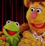 David Law (1967) - Fozzie & Kermit II - Muppets Show