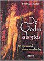 Godin Als Gids 9789023010289, Boeken, Gelezen, Verzenden, P. Telesco