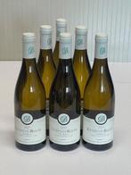 2023 Domaine Françoise André, Chorey-les-Beaune Tue-Boeuf, Verzamelen, Wijnen, Nieuw