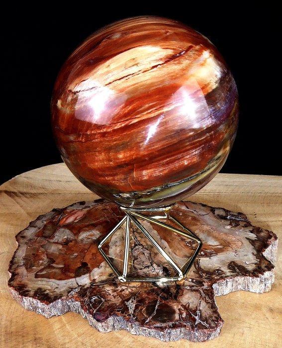 Fossiel hout - Gefossiliseerd hout - Araucaria - 15.5 cm -, Verzamelen, Mineralen en Fossielen