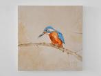 Matthieu van Riel - Kingfisher