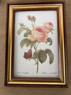 Lijst (8)- Planten en bloemen - Hout, Kleurendruk