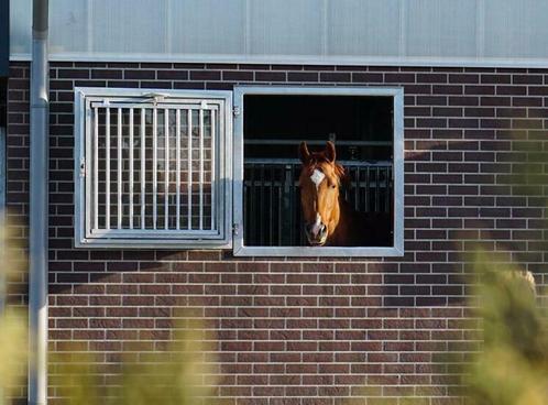 Stalraam voor paardenstal | stalluiken | draai-kiep stalraam, Animaux & Accessoires, Box & Pâturages, Accessoires