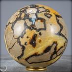 Natuurlijke topkwaliteit Big Septarian Gebied- 2530.12 g, Nieuw