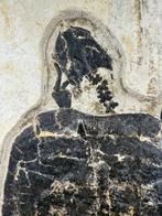 Tortue - Matrice de plaque fossilisée - Manchurochelys(, Collections