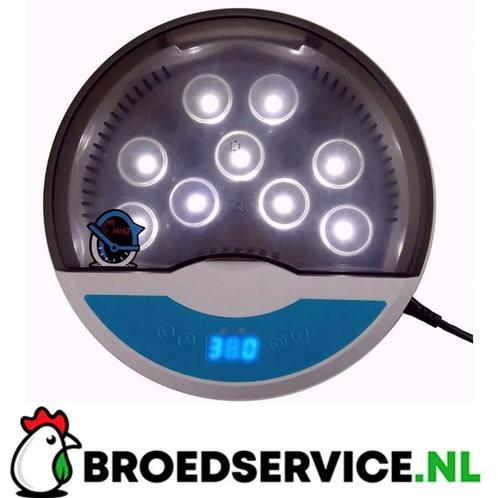 ACTIE- LED broedmachine voor 9 eieren met GRATIS broedeieren, Animaux & Accessoires, Volatiles | Accessoires, Envoi