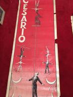 autre - Affiche cirque perchistes - Jaren 1900, Antiek en Kunst, Kunst | Tekeningen en Fotografie