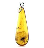 Pendentif en ambre de la Baltique avec fossiles dinsectes –, Nieuw
