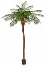 Kunstplant Phoenix Palmboom Deluxe 225 cm, Verzenden