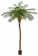 Kunstplant Phoenix Palmboom Deluxe 225 cm, Verzenden