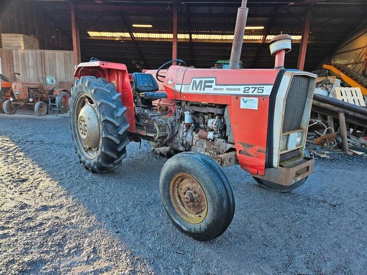 GEZOCHT / RECHERCHE Massey Ferguson tractoren, Zakelijke goederen, Landbouw | Tractoren, Nieuw
