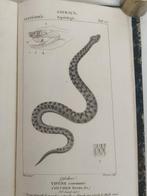 Mathieu Orfila - Leçons de médecine légale [Planches] - 1828