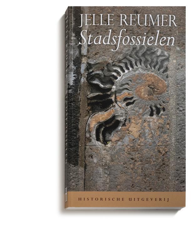 Stadsfossielen 9789065540676 Jelle Reumer, Livres, Science, Envoi