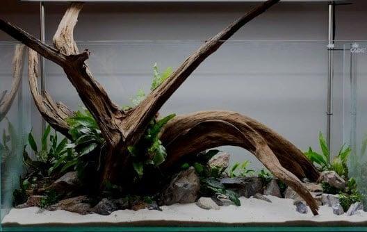 Fine sinking wood 35-50cm - Aquarium decoratie mangrove hout, Dieren en Toebehoren, Vissen | Aquaria en Toebehoren, Nieuw, Verzenden