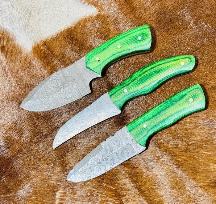 Keukenmes - Keukenmessenset (0175) - Exotisch houten handvat, Antiquités & Art, Antiquités | Ustensiles de cuisine