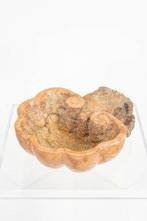 Wijwatervat - 1900-1910