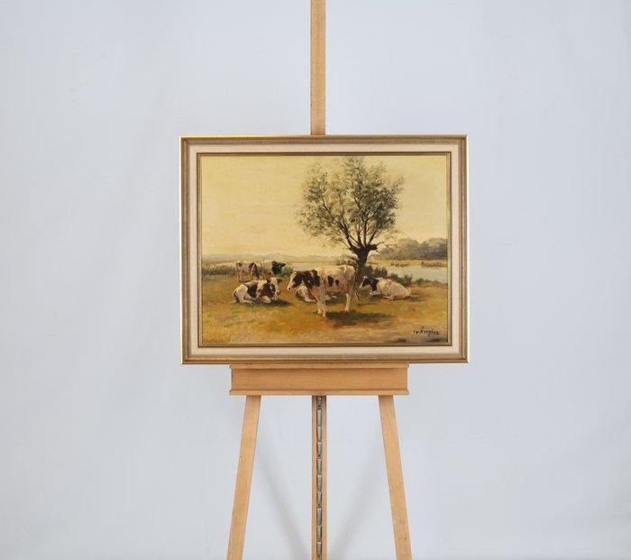 Fedor van Kregten (1871-1937) - Koeien in een landschap, Antiek en Kunst, Kunst | Schilderijen | Klassiek