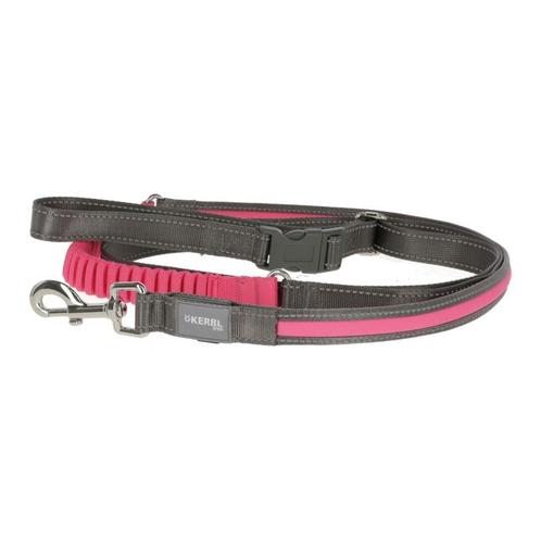 Laisse lumineuse pour le jogging light & reflex, rose fluo,, Dieren en Toebehoren, Honden-accessoires
