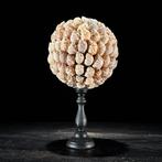 Decoratief ornament - NO RESERVE PRICE - Wonderful Pair of, Antiek en Kunst