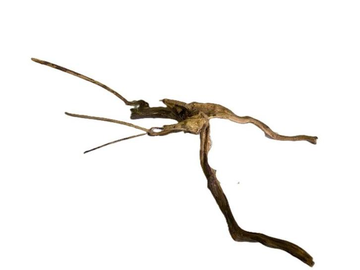 Driftwood Selected DW37 -35x20x10cm (Small drift wood), Dieren en Toebehoren, Vissen | Aquaria en Toebehoren, Plant(en), Steen of Hout