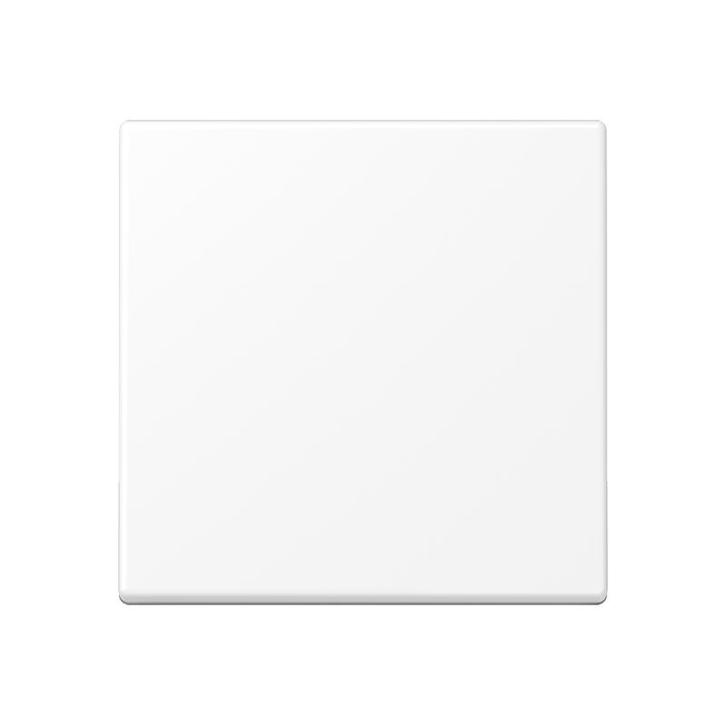 Jung A RANGE Élément De Contrôle Intelligent - A1700BFWWM, Doe-het-zelf en Bouw, Elektriciteit en Kabels, Verzenden