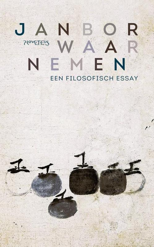 Waarnemen (9789044655247, Jan Bor), Boeken, Filosofie, Nieuw, Verzenden