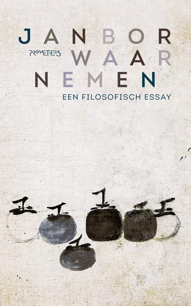 Waarnemen (9789044655247, Jan Bor), Boeken, Filosofie, Nieuw, Verzenden