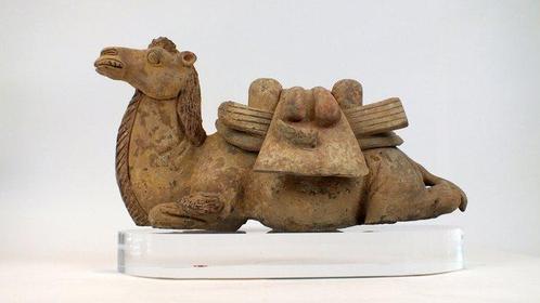 Oud Chinees, Tang-dynastie Terracotta Grote en Zeldzame, Verzamelen, Mineralen en Fossielen