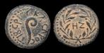 Judaea. Pontius Pilatus (26-36 n.Chr.). Prutah Date LIZ