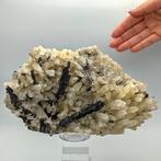 Grote glanzende HUBNERIET op KWARTS, 23 cm! Peru Kristallen, Verzamelen, Mineralen en Fossielen