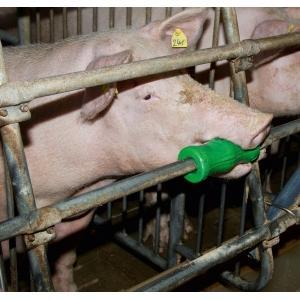 Bijtcilinder v. varkens,kunst- stof, incl. schroefverbinding, Articles professionnels, Agriculture | Aliments pour bétail