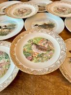 Limoges - Assiette (14) - Porcelaine - Ensemble de 14, Antiek en Kunst