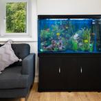 Aquarium 300 L Zwart + Meubel - Starterset - blauw grind, Dieren en Toebehoren, Verzenden, Nieuw