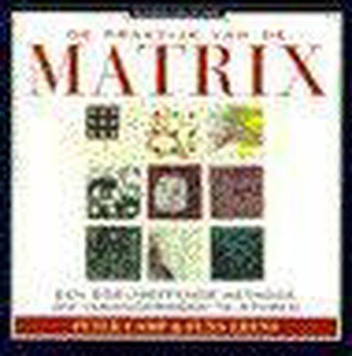 De Praktijk Van De Matrix 9789025421205, Livres, Économie, Management & Marketing, Envoi