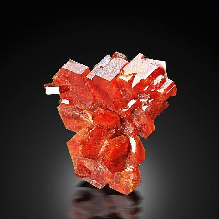 Skeletale bloedrode vanadinit uit Mibladen, Marokko, Verzamelen, Mineralen en Fossielen