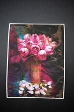 Viet Ha Tran - The pink lotus