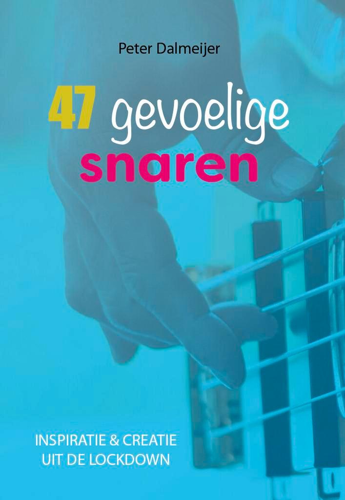 47 gevoelige snaren 9789493187825 Peter Dalmeijer, Boeken, Overige Boeken, Zo goed als nieuw, Verzenden