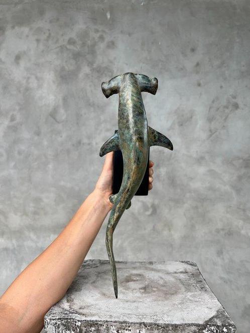 sculptuur, NO RESERVE PRICE - Hammerhead Shark on a stand, Antiek en Kunst, Kunst | Designobjecten