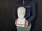 Statue, Phrenology Head 28.5cm - 28.5 cm - Porcelaine - 2026, Antiquités & Art