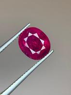 1 pcs Rood Robijn - 5.75 ct - Gem research Swiss Lab (GRS) -, Nieuw