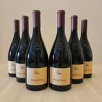 2022 Terlan, Pinot Noir - Alto Adige - 6 Flessen (0.75, Verzamelen, Wijnen, Nieuw