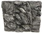 3D aquarium achterwand Os-41-1 Maat: 62x50x5,5cm (decoratie), Verzenden, Nieuw