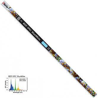 Red Sea T5 TL buis 54 watt - Blue-White 15.000K, Dieren en Toebehoren, Vissen | Aquaria en Toebehoren, Verzenden