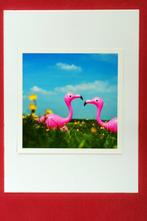 Pavel Golovkin - Flamingos in Love. 2024