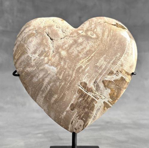 AUCUN PRIX DE RÉSERVE - Belle forme de cœur en bois pétrifié, Antiquités & Art, Art | Objets design